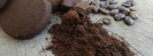 How to dispose of coffee grounds (& how it has other uses)