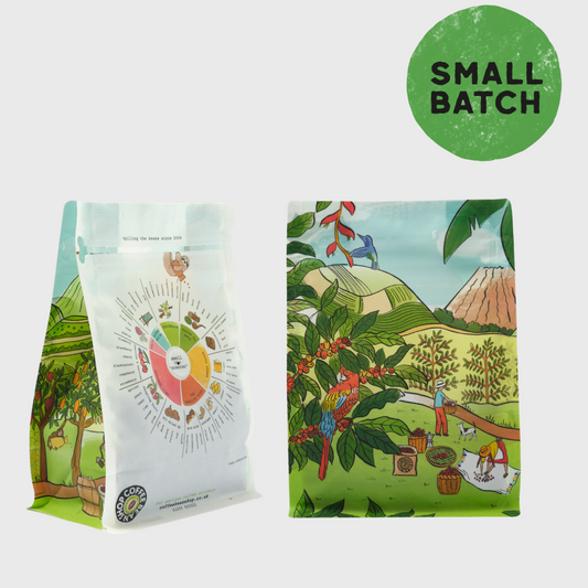 Uganda Clarke Farm | Washed & Natural 2 x 250g