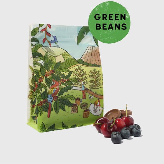 Green Brazil Santos unroasted coffee beans UK