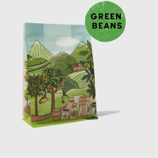 alt="Green Robusta unroasted coffee beans UK"