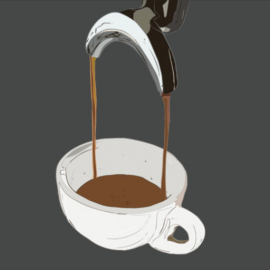 The Bean To Cup Starter Bundle