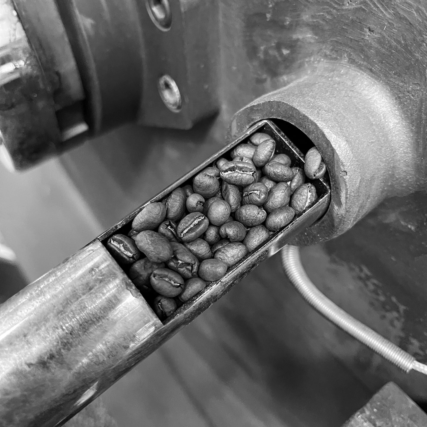 Decaffeinated Roasters Choice | Seasonal Crop