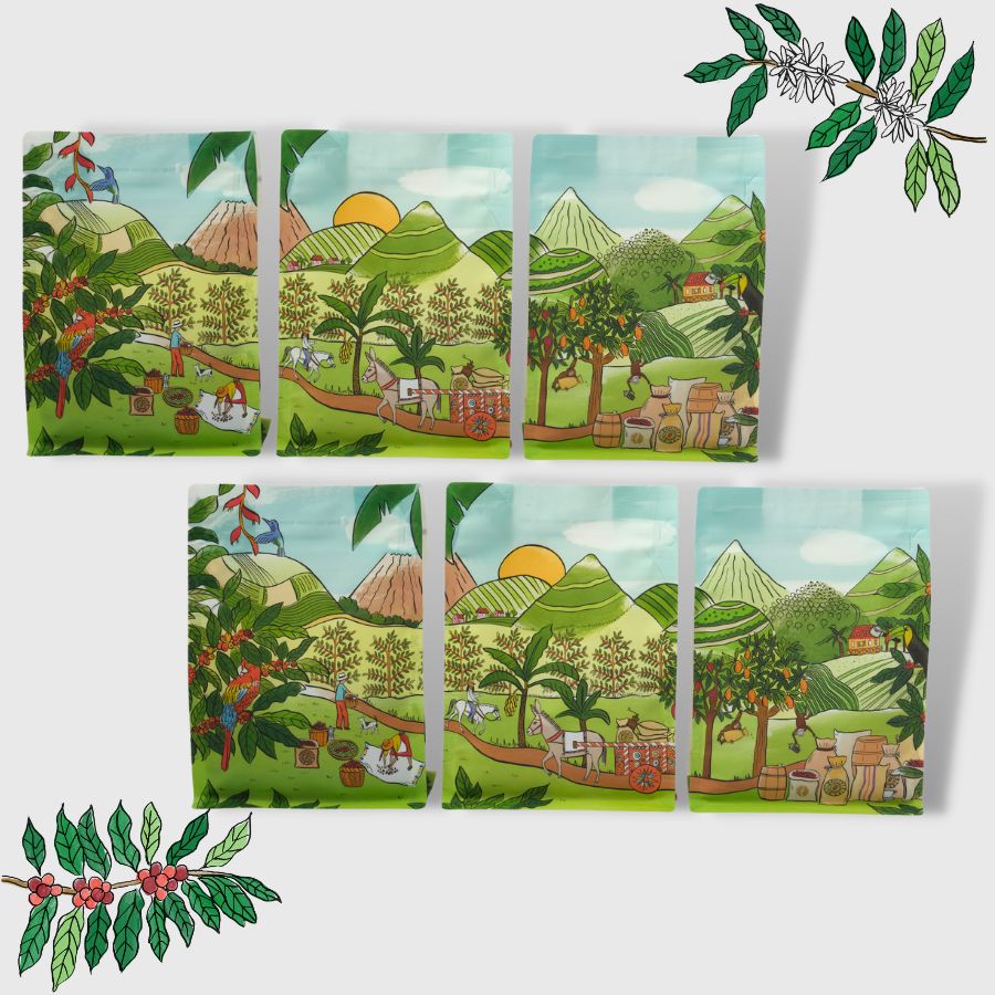 6 bags from around the world