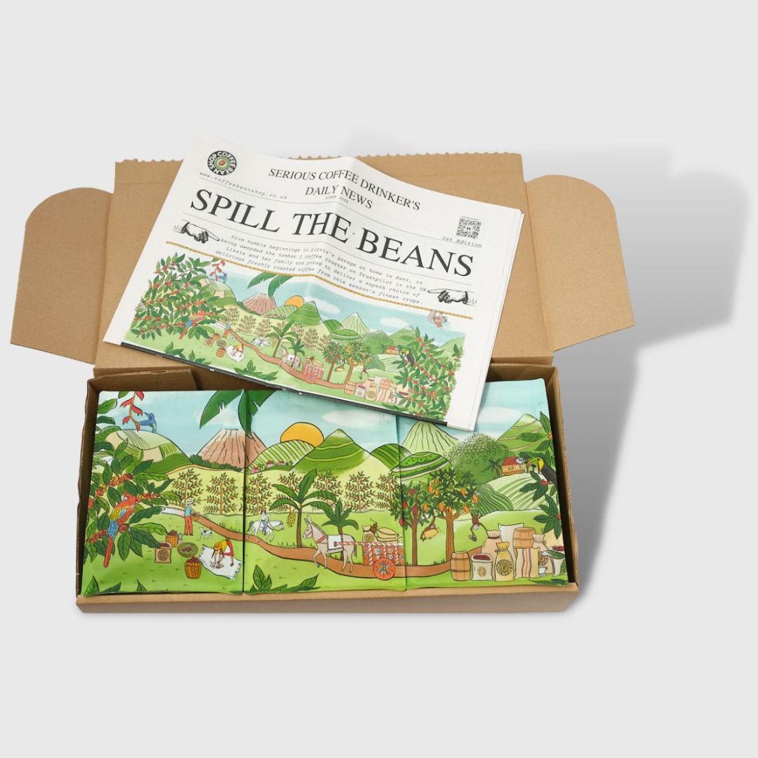 Seasonal 5 Bag Promotion Pack