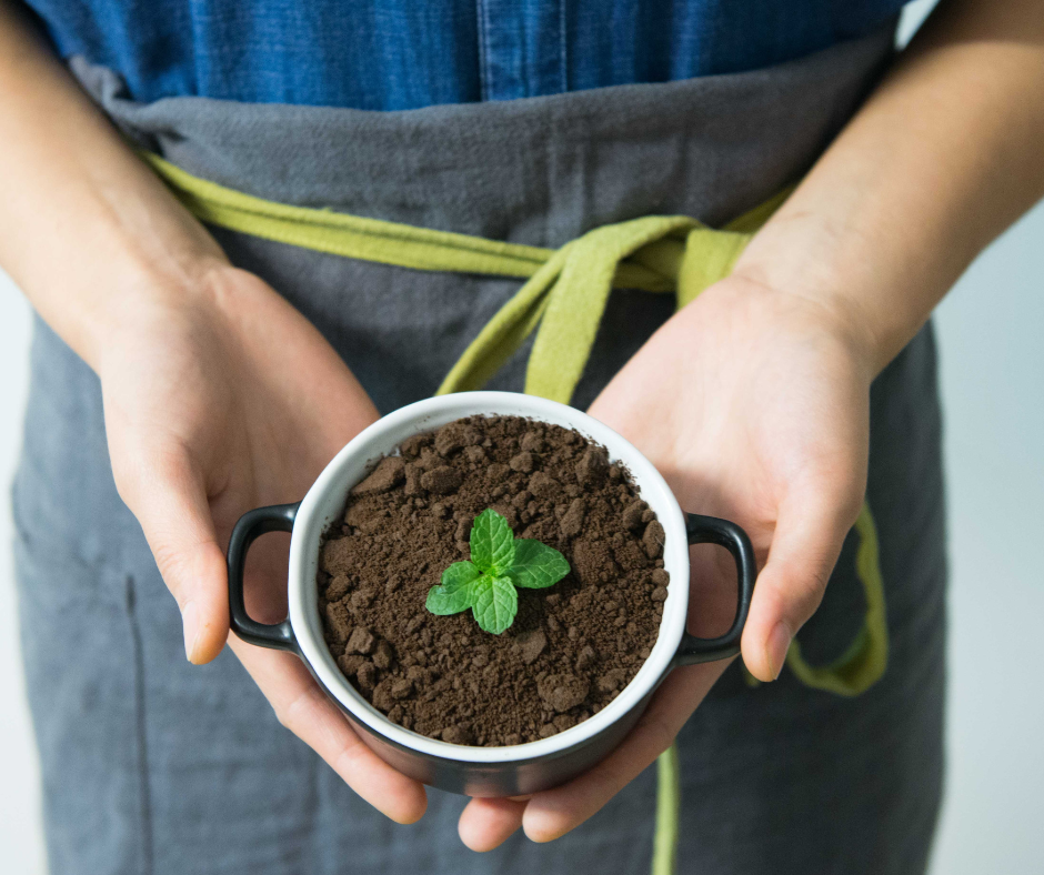 How to dispose of coffee grounds (& how it has other uses)