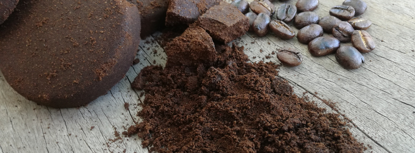 How to dispose of coffee grounds (& how it has other uses)