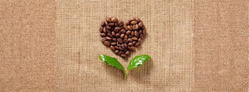 a pile of the best decaf coffee beans in the shape of a heart