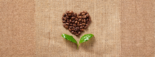 a pile of the best decaf coffee beans in the shape of a heart