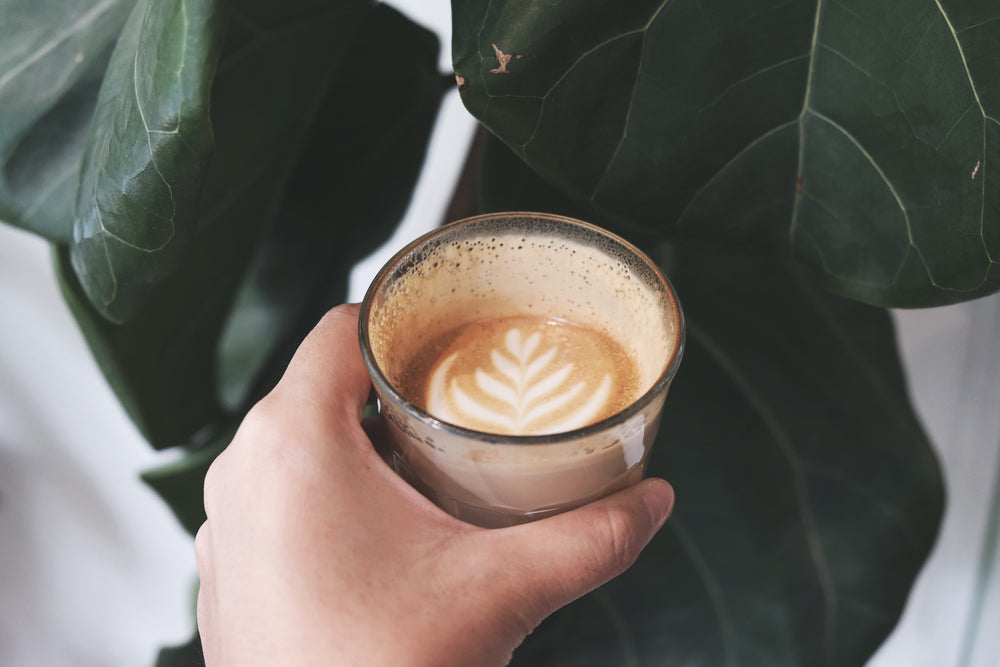 What Is Cortado Coffee & Should You Be Drinking It?