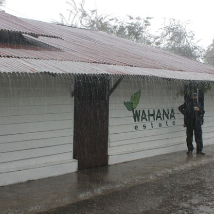 Sumatra Wahana Longberry Washed