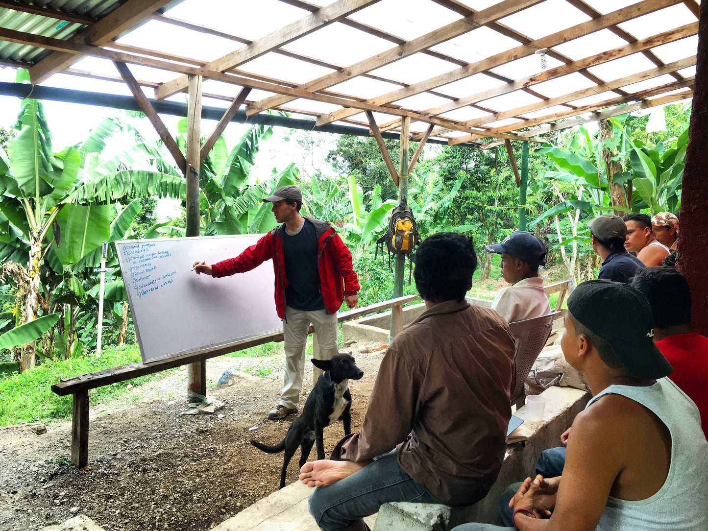 Nicaragua Orange Maceration Madness