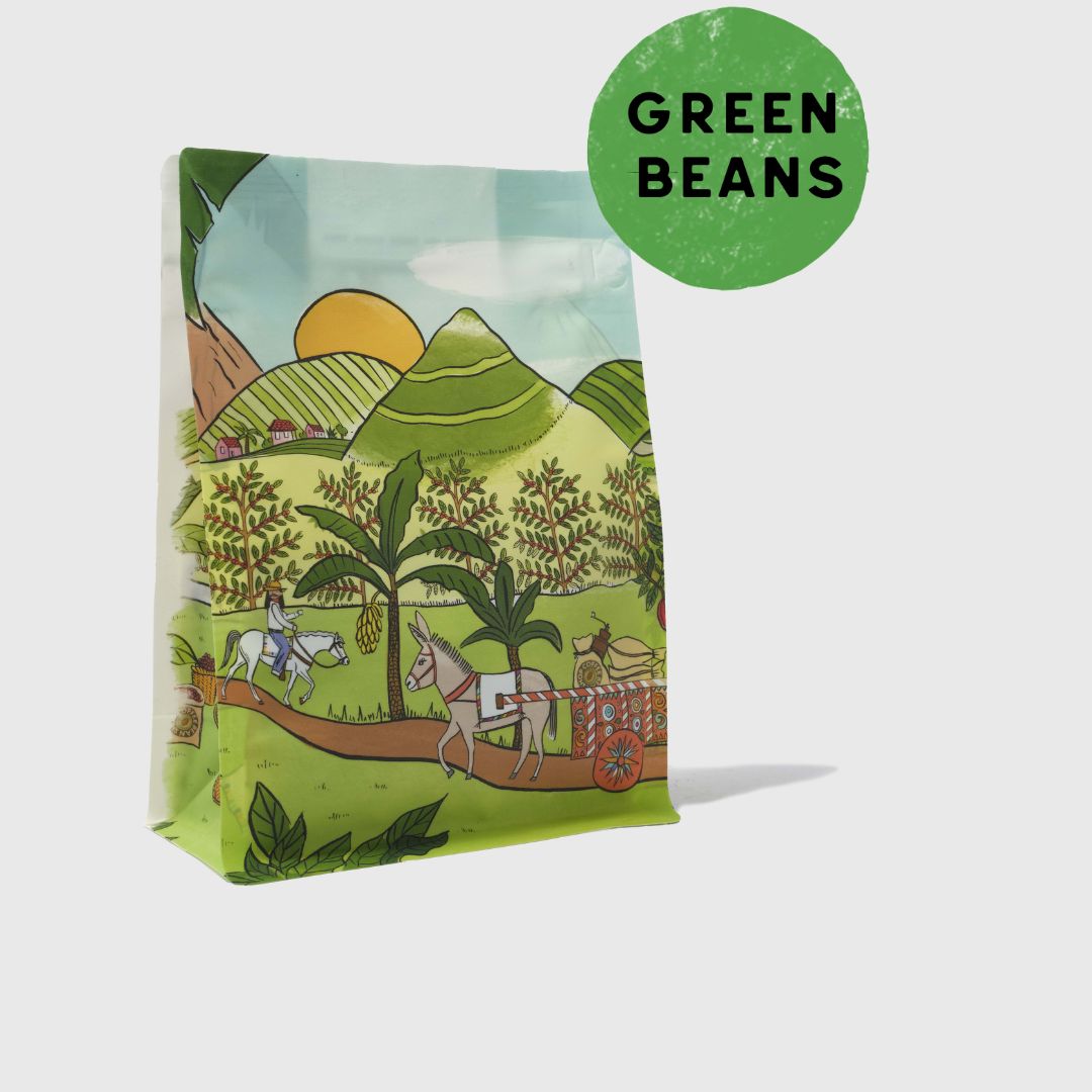 Green Nicaraguan Elephant Beans
