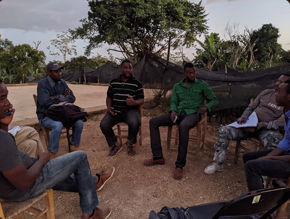 Caribbean Haitian Blue - Grade I