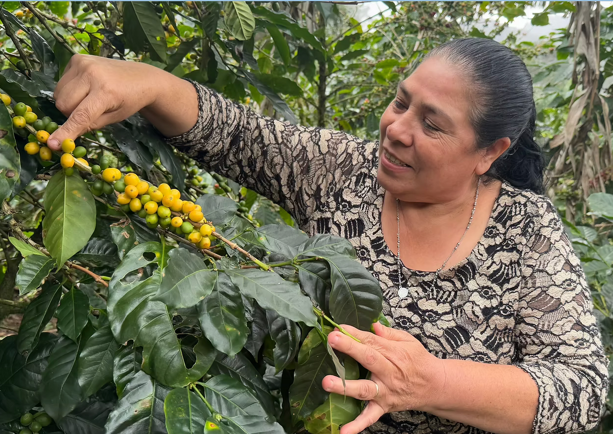 Nicaraguan El Diamante by Blanca Nieve