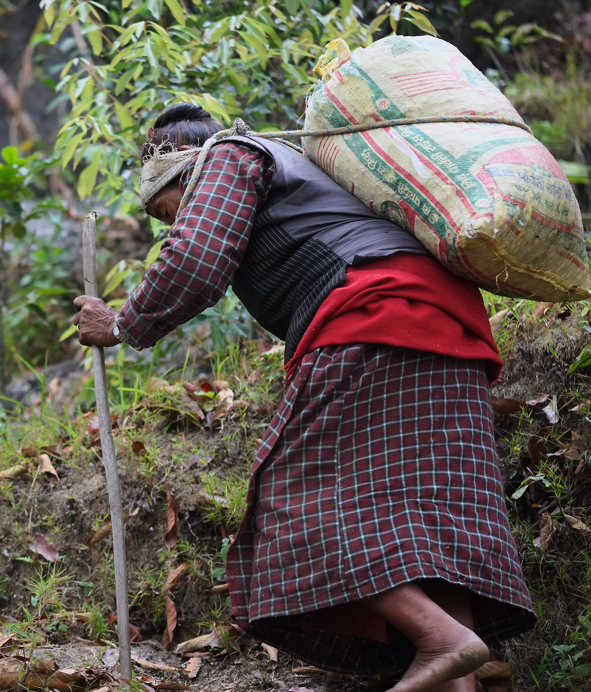 Nepalese Mount Everest - Nuwakot Single Estate (Washed)