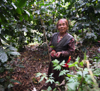 Nepalese Mount Everest - Nuwakot Single Estate (Washed)