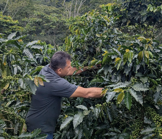 Venezuela - Lara Single Origin