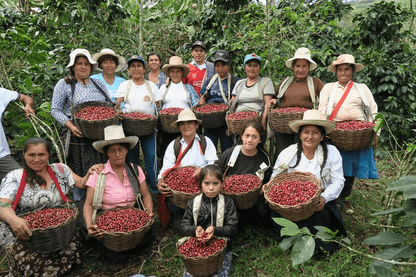 Colombian Women's Project