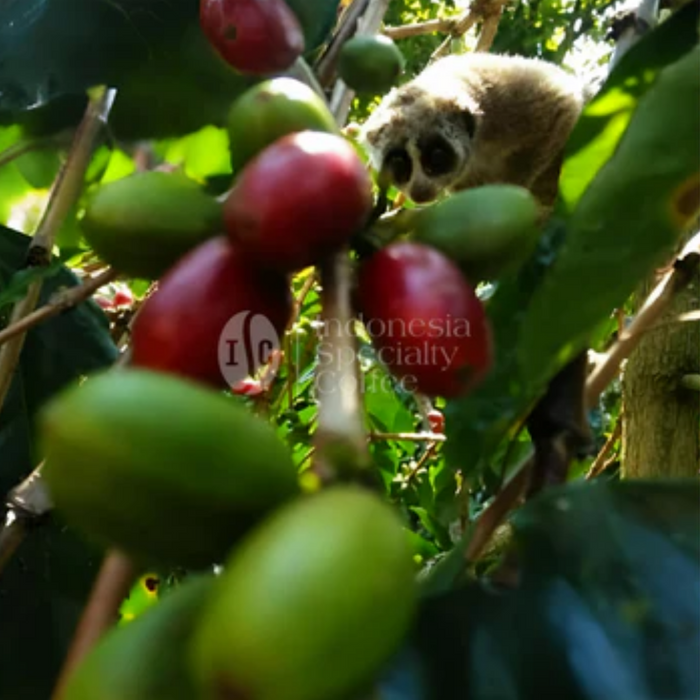 From Nature, With Care