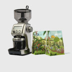 The Sage Smart Grinder Pro