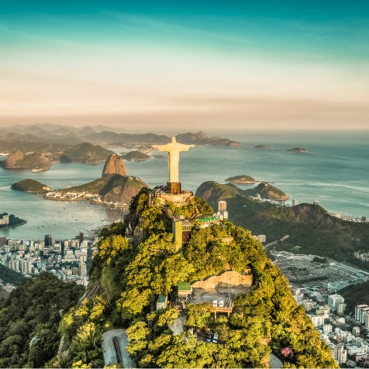 Green Brazilian Santos
